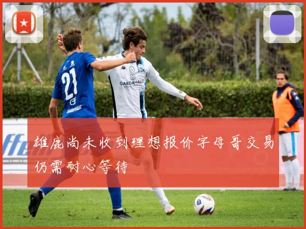 雄鹿尚未收到理想报价字母哥交易仍需耐心等待